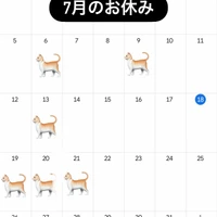 画像428