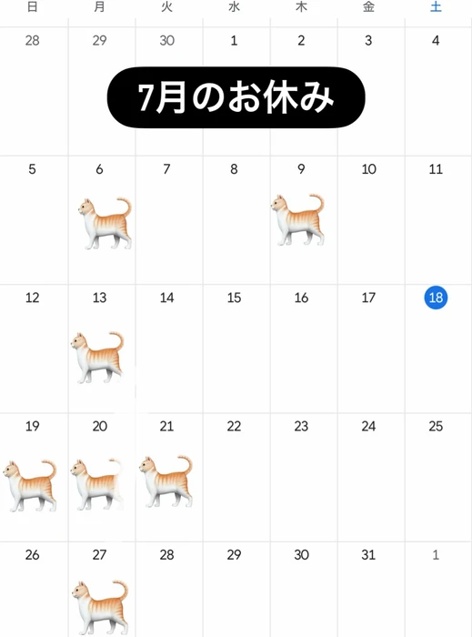 画像428