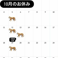 画像432